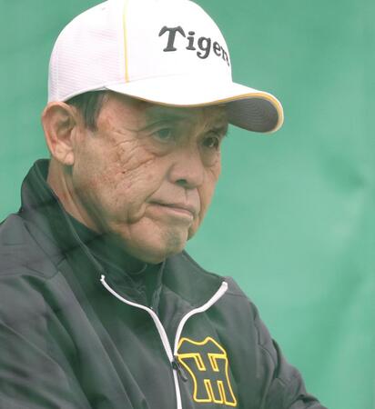 　ブルペンで投手陣の投球を見つめる岡田オーナー付顧問（撮影・中田匡峻）