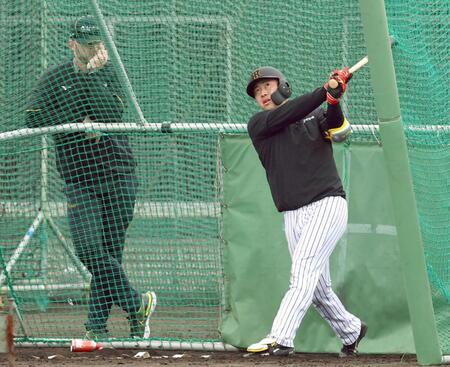 　サンズ臨時コーチ（左）が見守る中、打撃練習をする佐野（撮影・山口登）