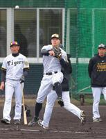 　守備練習でジャンピングスローも佐藤輝（撮影・金田祐二）