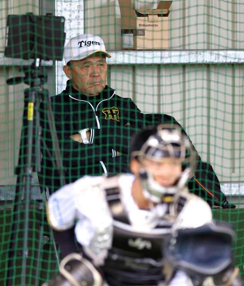 　ブルペンで投球練習を見る岡田オーナー付顧問（撮影・山口登）