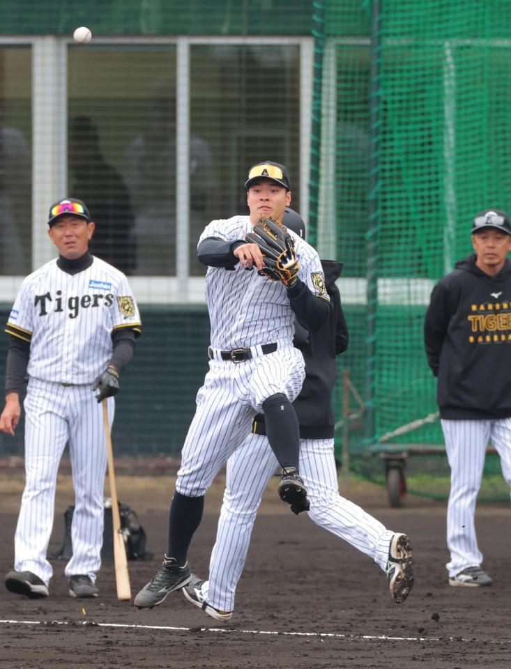 　守備練習でジャンピングスローも佐藤輝（撮影・金田祐二）