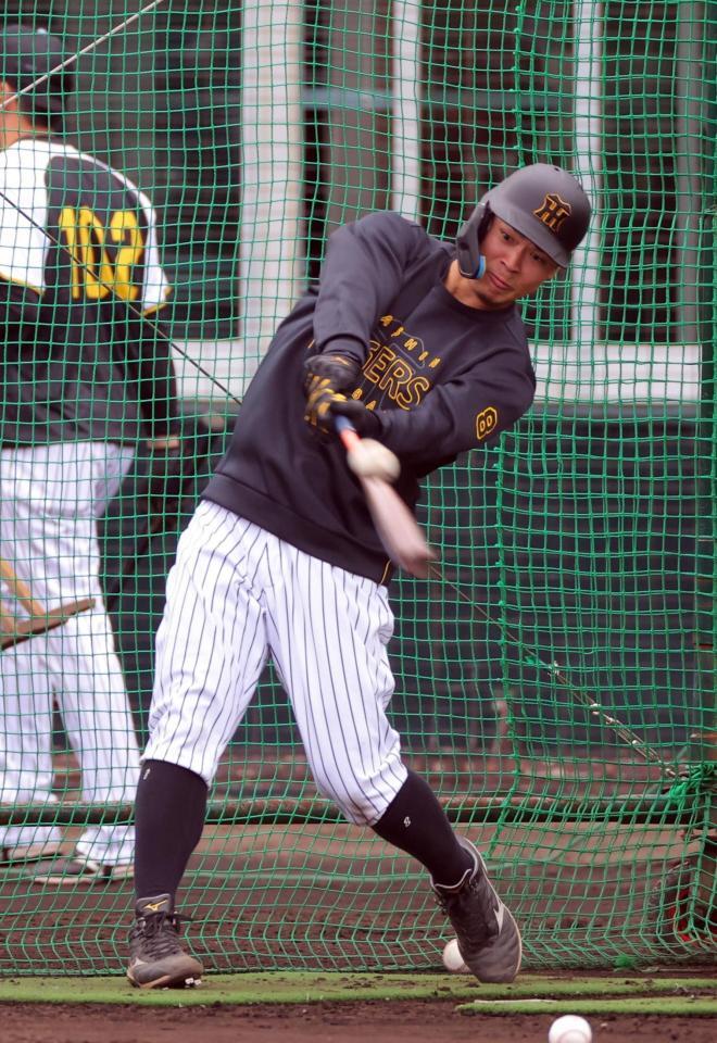 　打撃練習する佐藤輝（撮影・金田祐二）