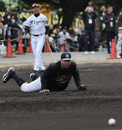 　早出特守でボールに食らいつくヘルナンデス（撮影・田中太一）