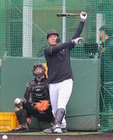 打撃練習する阪神・大山悠輔＝宜野座（撮影・金田祐二）