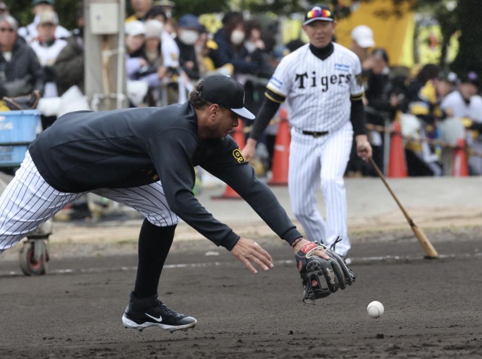 　早出特守でボールに喰らいつくヘルナンデス（撮影・田中太一）