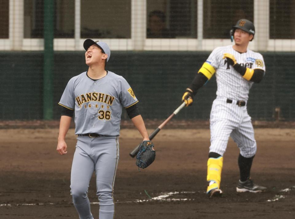 　１回、佐藤輝に先制２ランを浴び悔しがる畠（撮影・金田祐二）