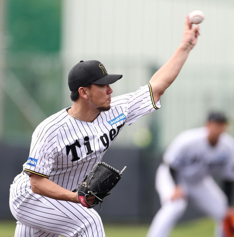 　紅白戦で先発した伊藤将（撮影・中田匡峻）