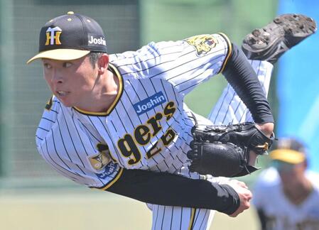 阪神・椎葉が休日返上「休んでいる暇はない。焦ってます」　９日の紅白戦は２回４失点