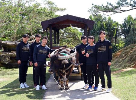 　水牛車に乗り終え、写真に納まる（左から）町田、早川、佐野、工藤、川崎、今朝丸（撮影・山口登）