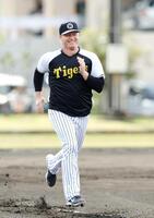 　阪神・ネルソン