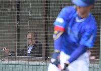 　ＤｅＮＡ・度会を見る岡田顧問（撮影・佐々木彰尚）