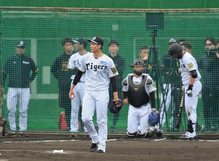 シート打撃に登板した阪神・湯浅京己＝具志川（撮影・西田忠信）