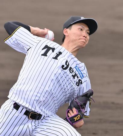 シート打撃に登板する阪神・湯浅京己＝具志川（撮影・西田忠信）