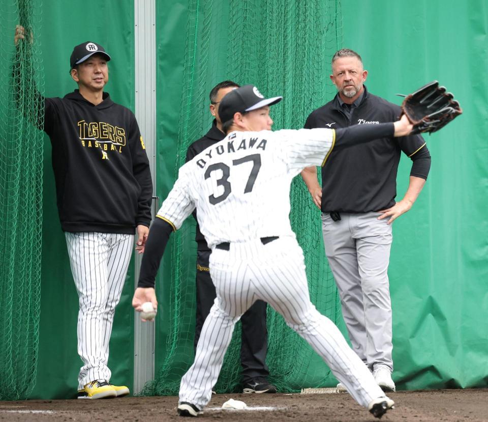 　及川（手前）の投球練習を見つめる藤川監督（左）とウィリアムス駐米スカウト（撮影・中田匡峻）