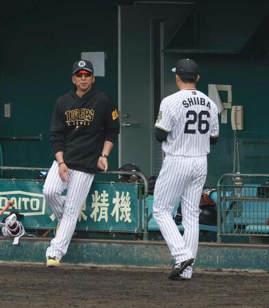 　登板した椎葉に声を掛ける藤川監督（撮影・金田祐二）