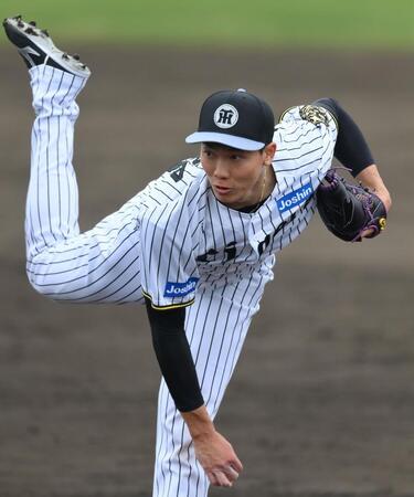 シート打撃に登板する阪神・湯浅京己＝具志川（撮影・西田忠信）