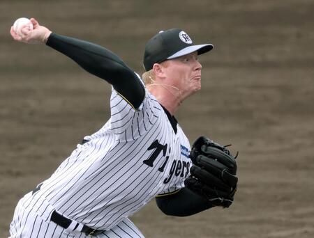 　打者を相手に投げ込むネルソン（撮影・田中太一）