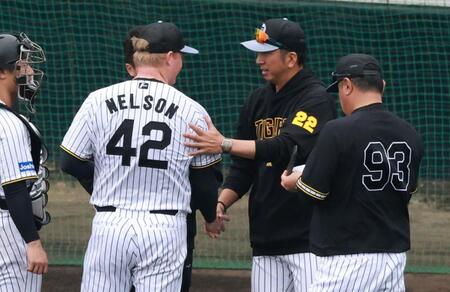 　ネルソンをねぎらう藤川監督（撮影・金田祐二）