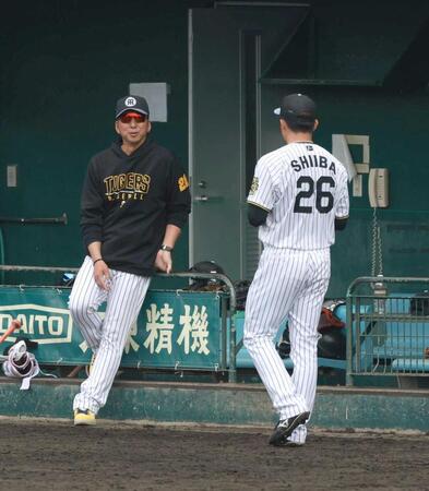 　登板した椎葉に声を掛ける藤川監督（撮影・金田祐二）