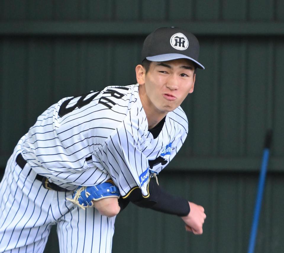 　ブルペンで投げ込む今朝丸（撮影・西田忠信）