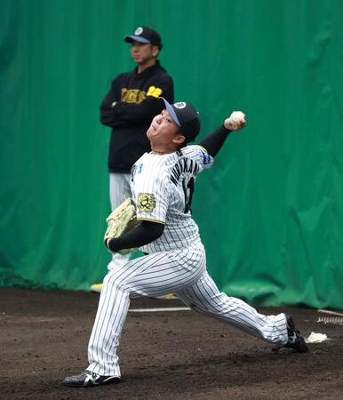 　藤川監督の前で投球する村上（撮影・金田祐二）