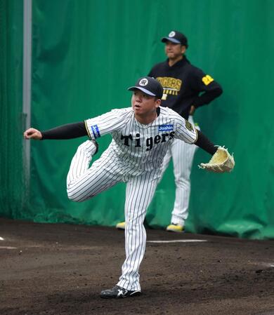 　藤川監督の前で投球する村上（撮影・金田祐二）