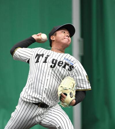 　ブルペンで近本の胸元をえぐる村上（撮影・北村雅宏）