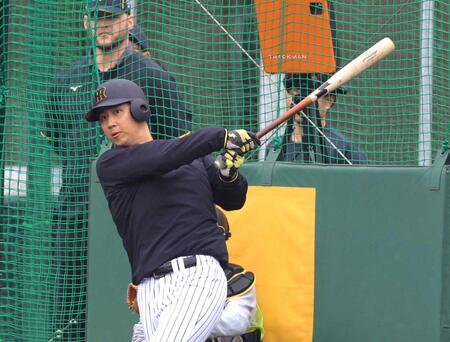 　打撃練習する井坪（撮影・金田祐二）