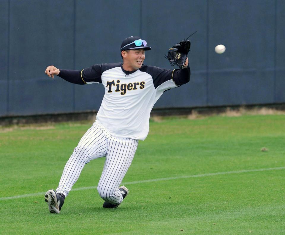 　スライディングキャッチの練習をする井上（撮影・金田祐二）
