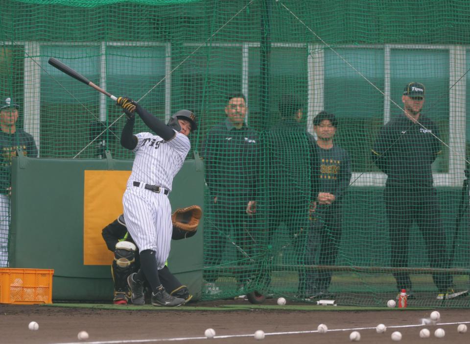 　ジェリー・サンズ氏（右端）の前で打撃練習する大山（撮影・金田祐二）