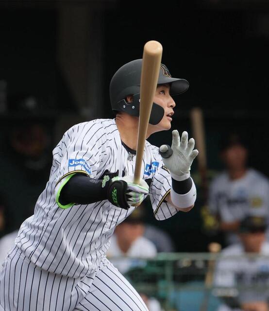 楽天市場】阪神タイガース 2023 日本一記念 ワッペン : 89キングダム