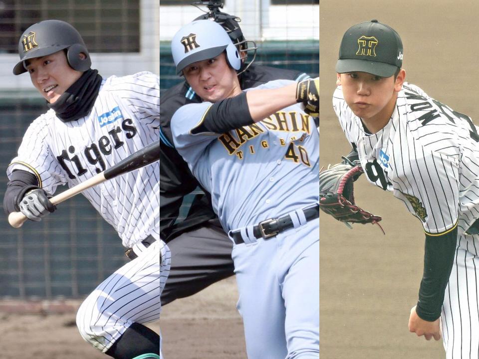 　（左から）豊田、井坪、門別