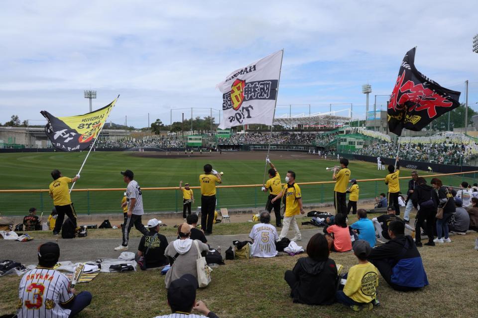 　今季、阪神初の対外試合（撮影・金田祐二）