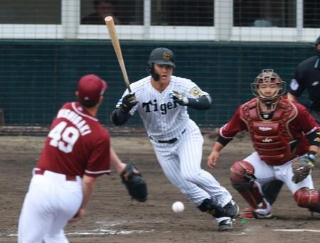 　７回、中前打を放つ前川（撮影・金田祐二）