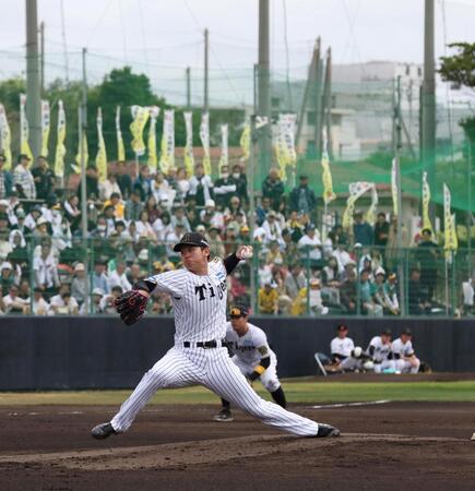 　先発し、力投する門別（撮影・北村雅宏）