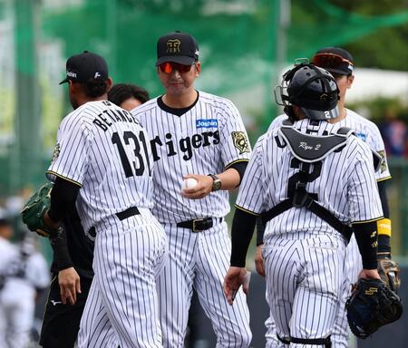 　５回、乱調のベタンセスを交代させる藤川監督（中央）＝撮影・山口登