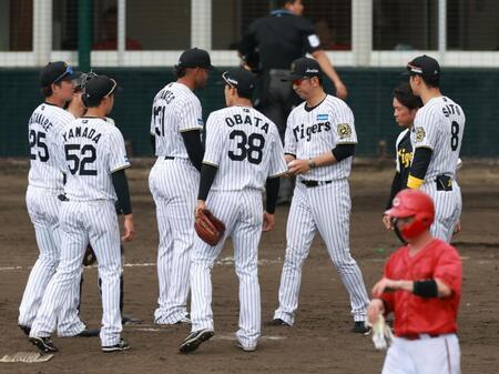 　５回、ベタンセスを降板させる藤川監督（撮影・金田祐二）
