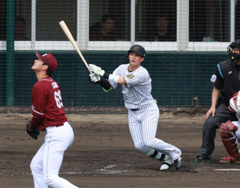 　２回、右越えソロ放つ木浪（撮影・金田祐二）