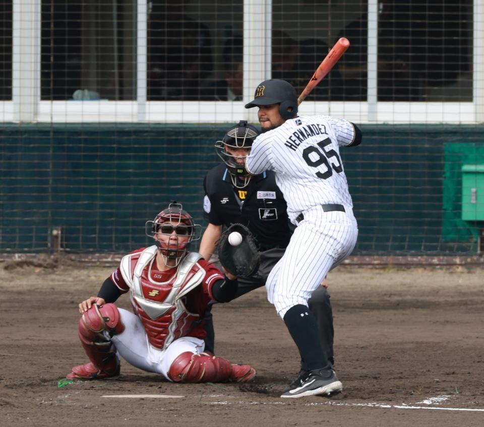 　５回、四球を選ぶヘルナンデス（撮影・金田祐二）