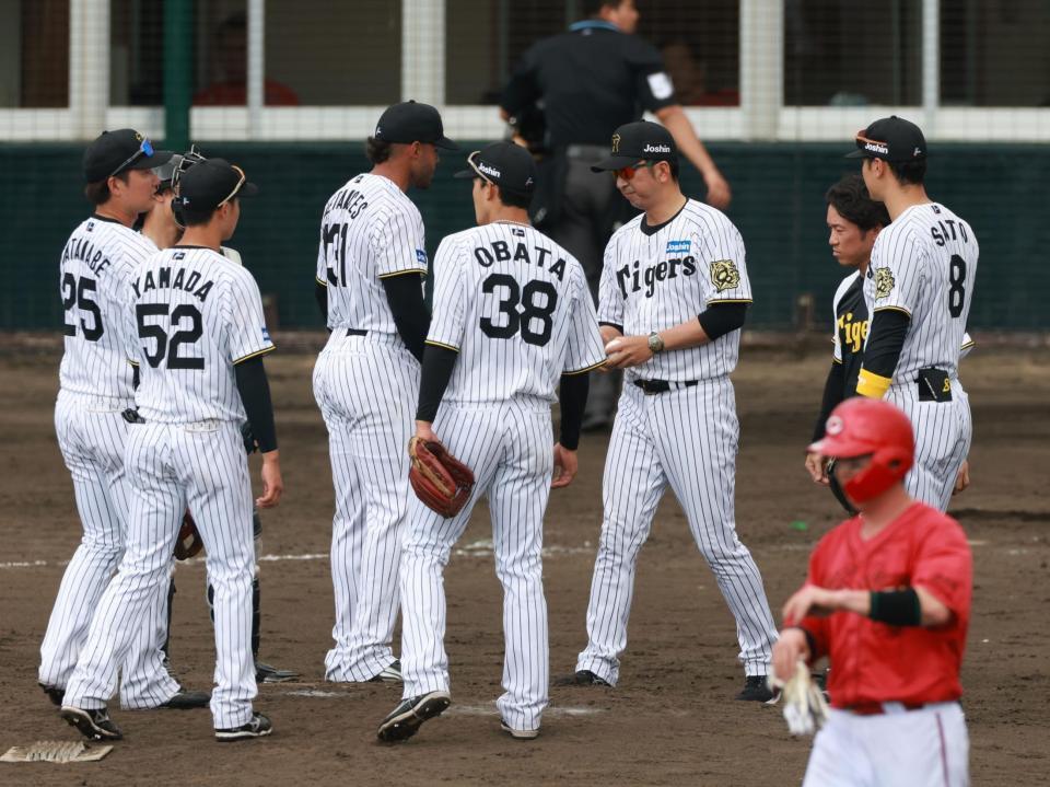 　５回、ベタンセスを降板させる藤川監督（撮影・金田祐二）