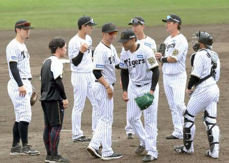 　５回、ベタンセス（中央右）を降板させる藤川監督（同左）＝撮影・田中太一