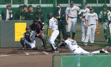 　井上の内角に投じるデュプランティエ（撮影・金田祐二）