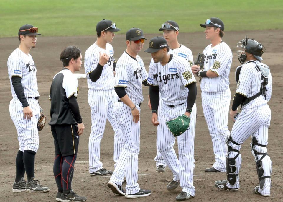 　５回、ベタンセス（中央右）を降板させる藤川監督（同左）＝撮影・田中太一