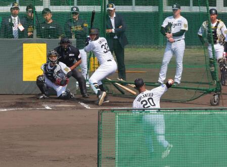 　井上と対決するデュプランティエ（撮影・金田祐二）