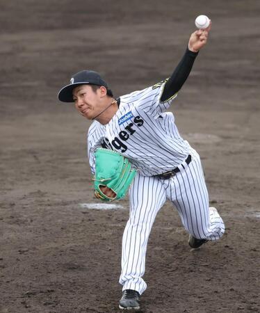 　シート打撃に登板した伊原（撮影・中田匡峻）