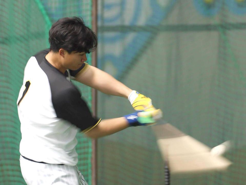 　打撃練習する森下