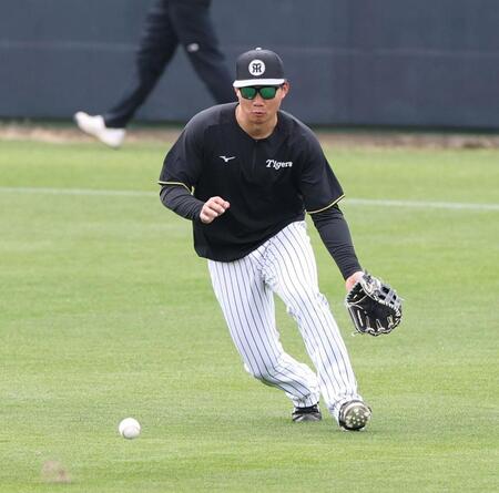 　打撃練習の打球を処理する森下（撮影・中田匡峻）