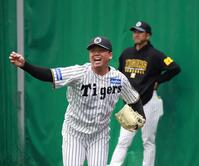 　藤川監督の前で投球する村上＝１３日