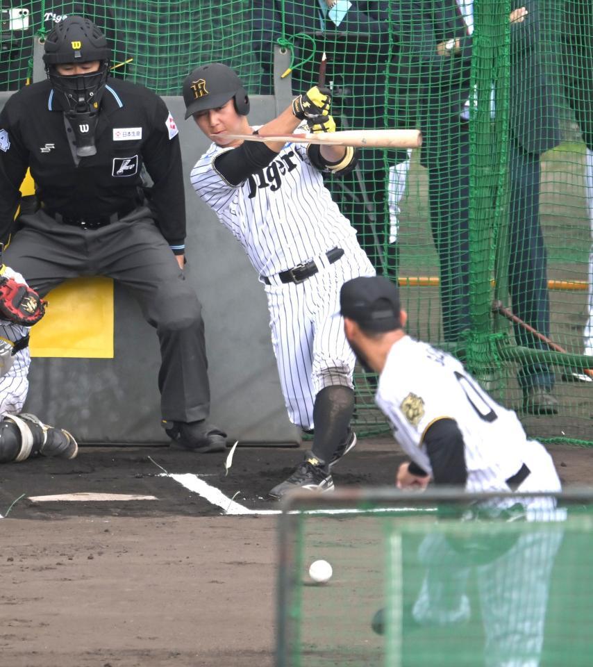 　ゲラにバットをへし折られる井坪（撮影・飯室逸平）