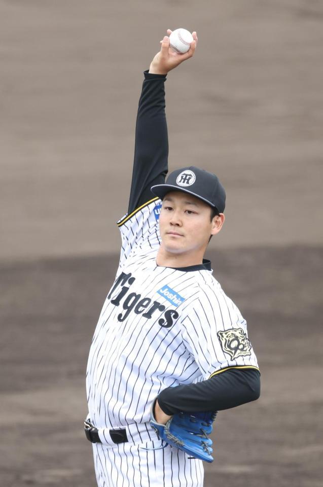 　投球前、腕をグッと伸ばす木下（撮影・中田匡峻）